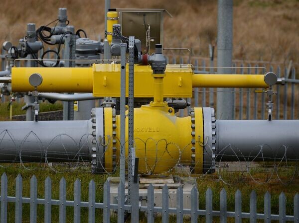    © РИА Новости Алексей Витвицкий