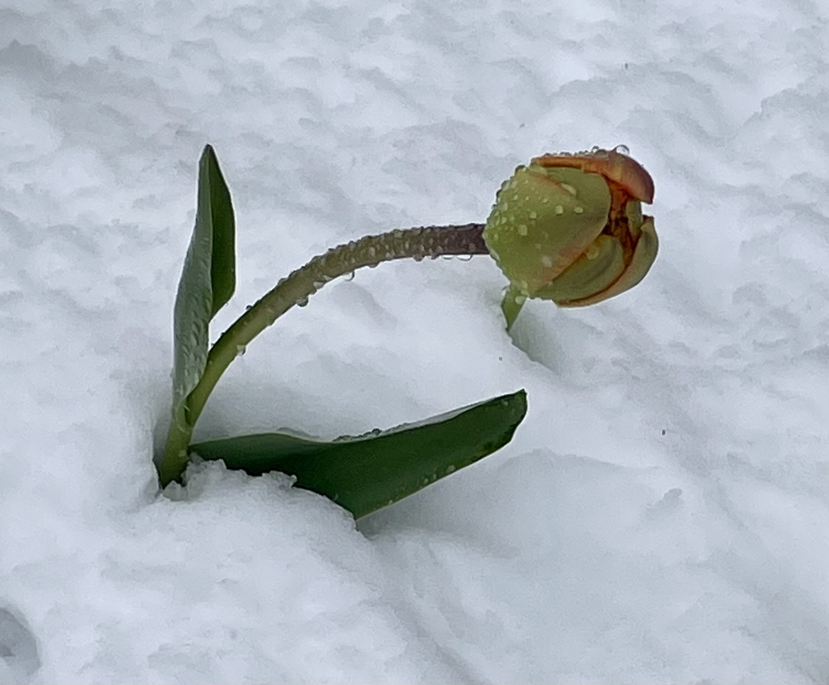 27 апреля 2026 года