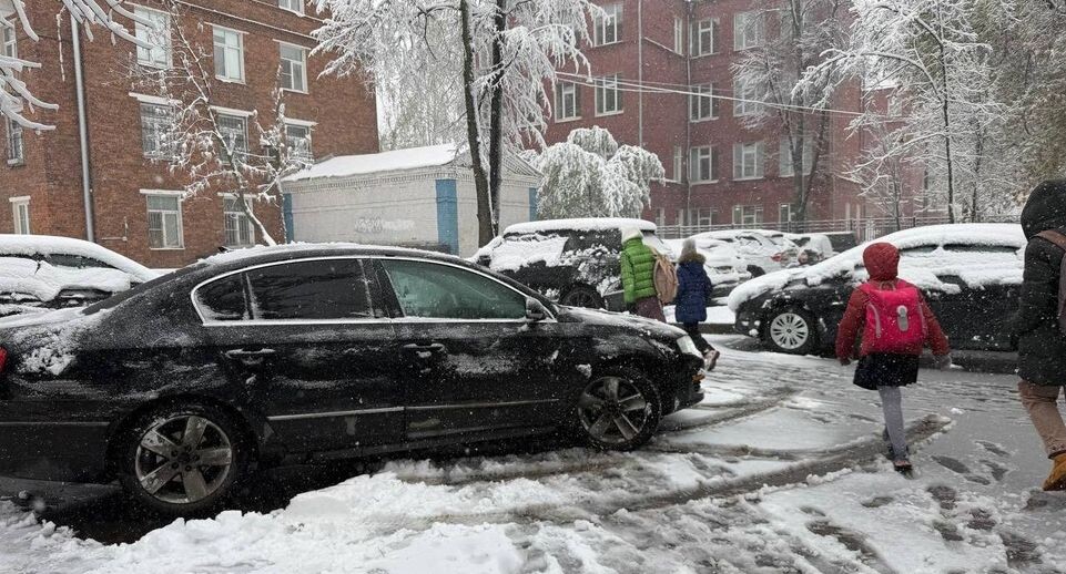    REGIONS/Елена Фурман