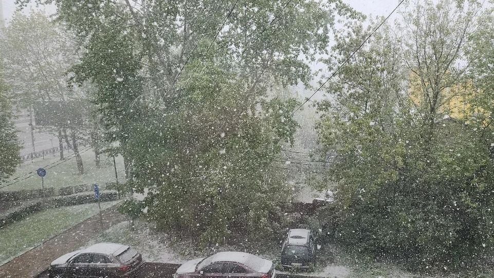    REGIONS/Наталья Надточая