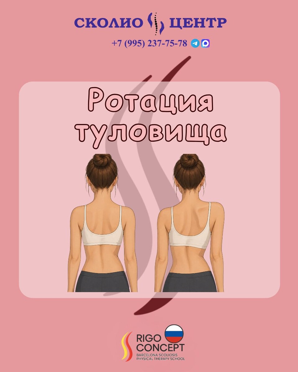 Ротация туловища. Что это такое?