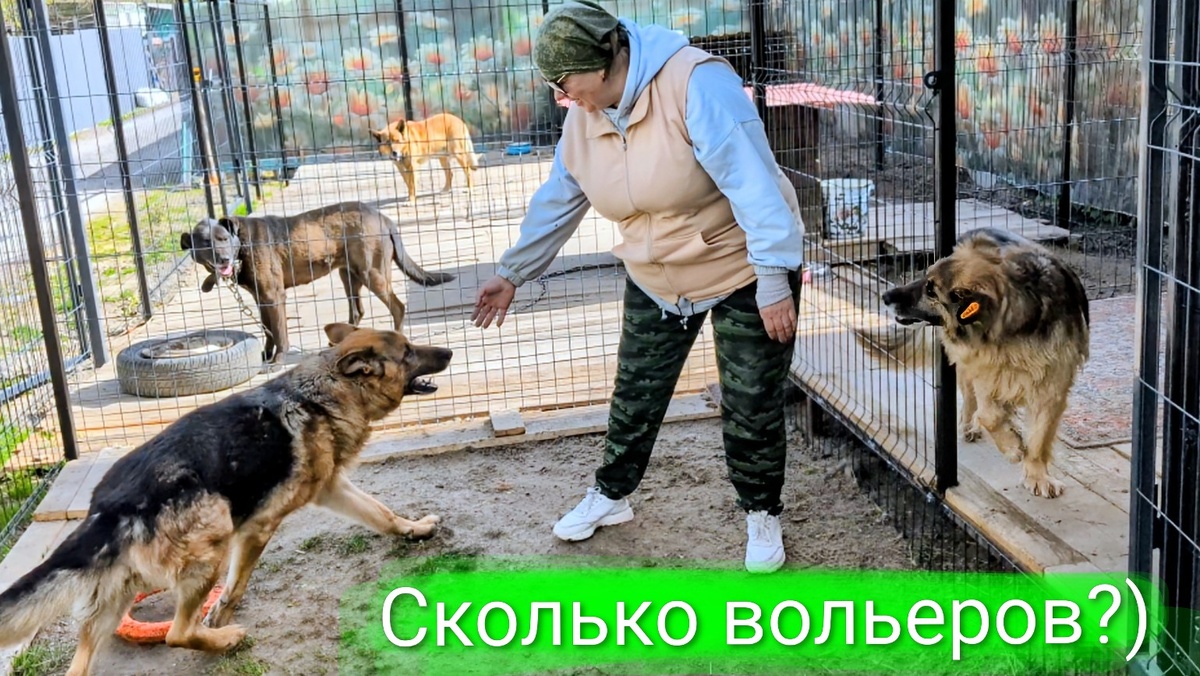 Новые вольеры