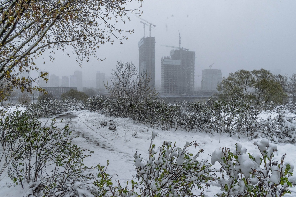 Хотя контраст живого/неживого тоже интересный