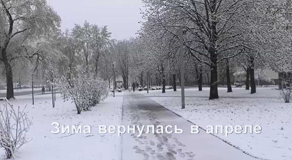 фото из личного архива