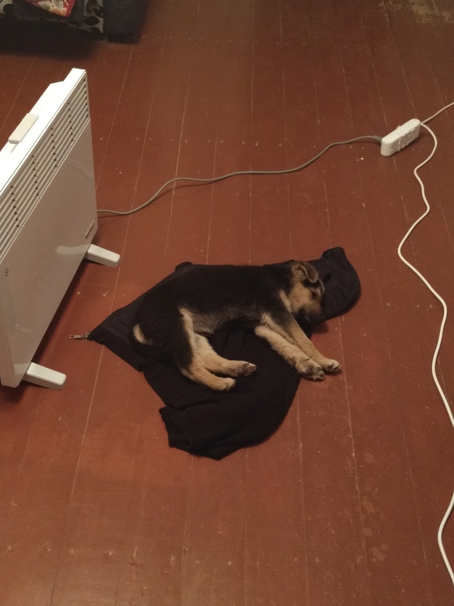 Теплое местечко 😊