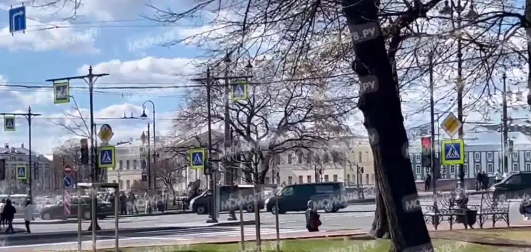    Фото: Мойка78