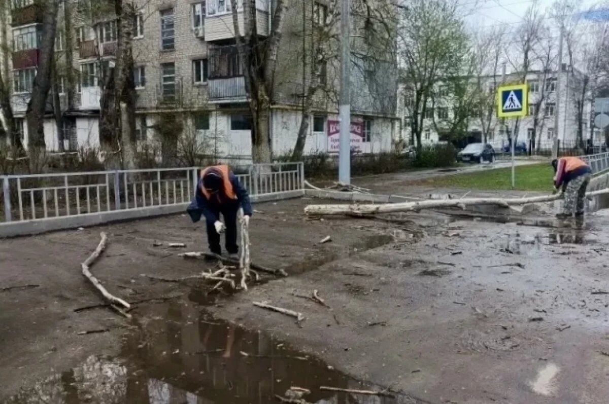    18 деревьев упали из-за штормового ветра в Нижнем Новгороде