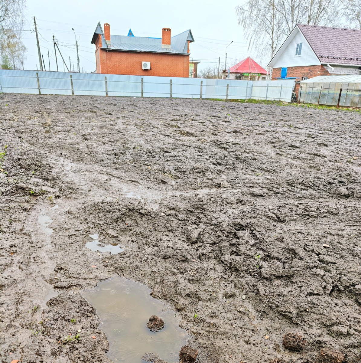 26 апреля 2026 г