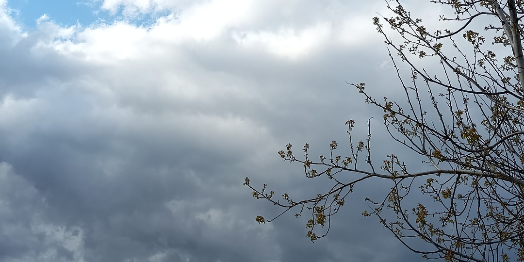 🌅 Доброе утро, друзья! Вторник — это не просто день, а шанс начать всё с чистого листа!