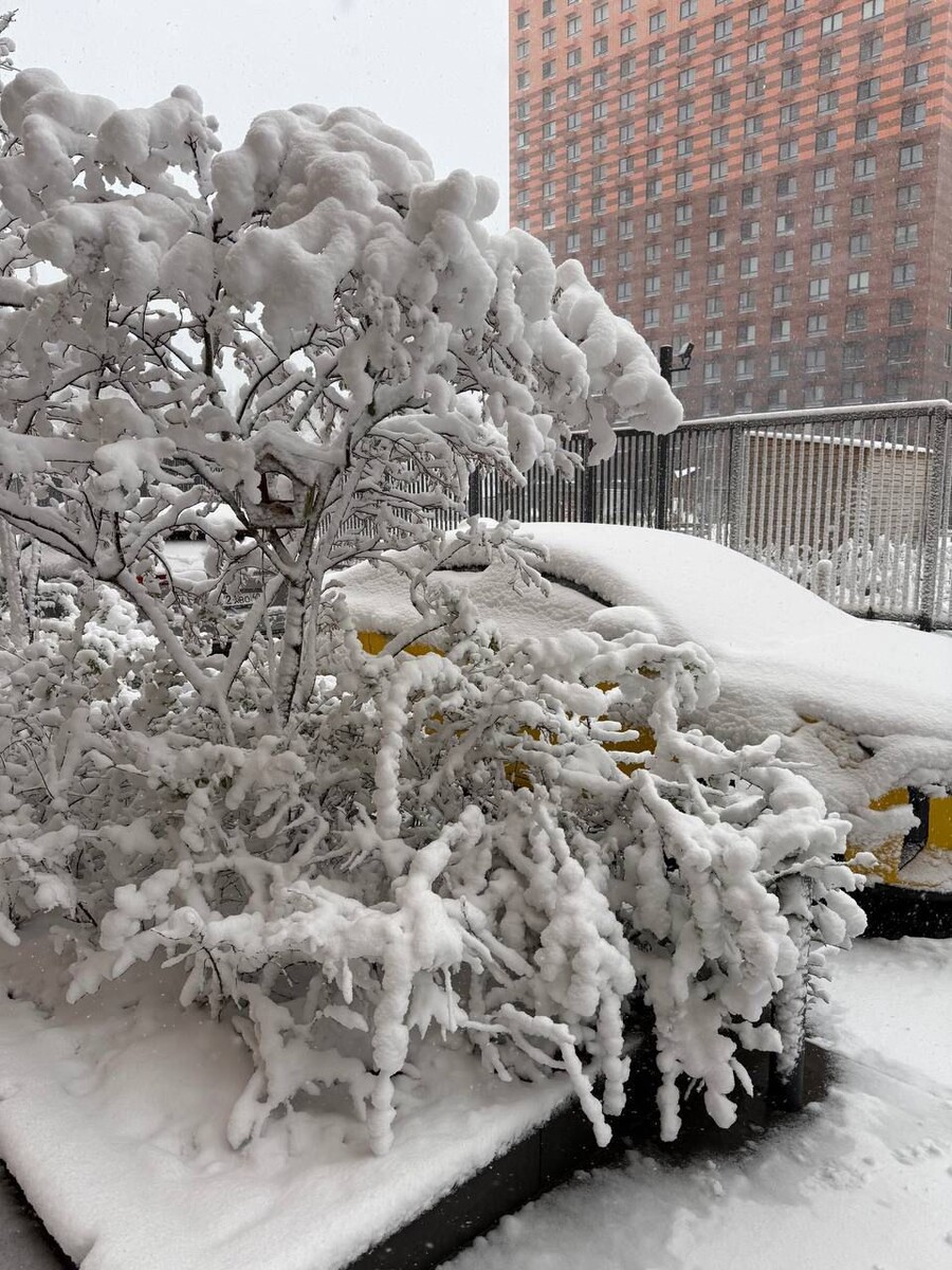 Москва 27.04 2026.