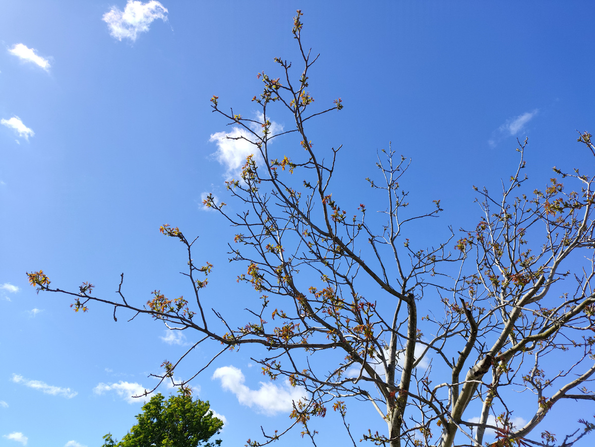 Утреннее небо