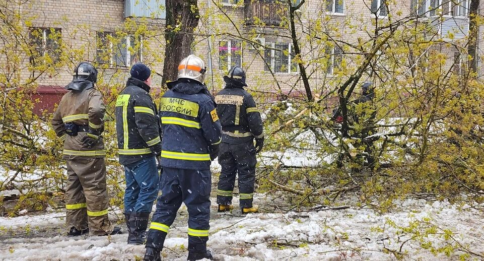    Татьяна Филимонова