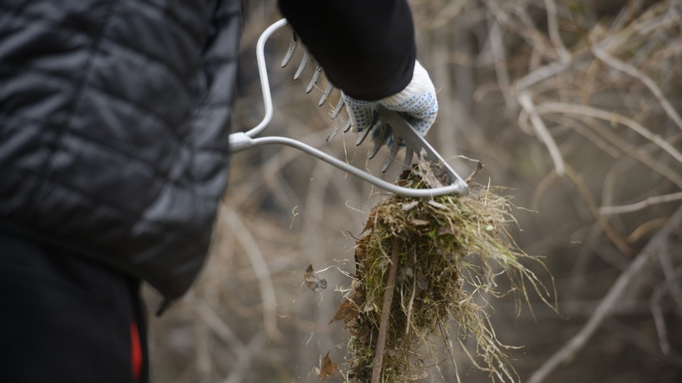 Всероссийский субботник объединил тысячи жителей Ростовской области