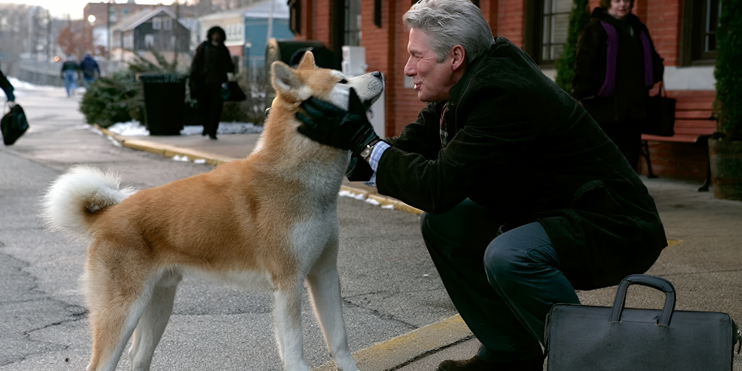 Мне 40, я перечитала «Хатико» и снова не могу оторваться: урок верности от японского пса