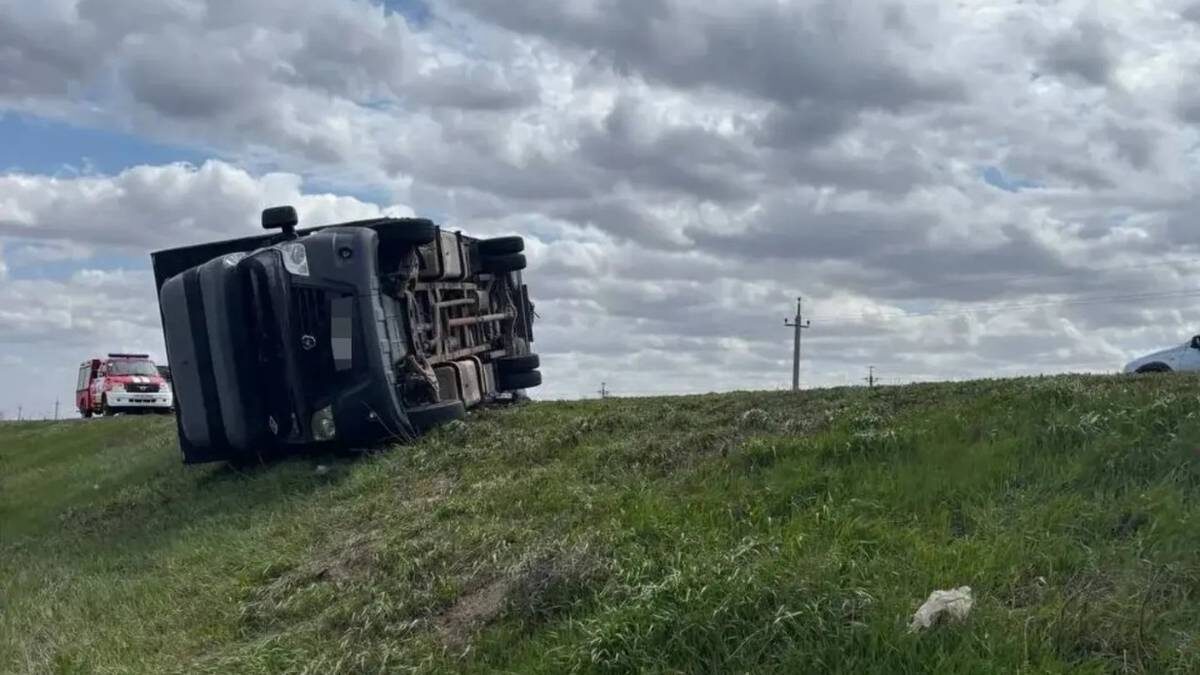    Фото: ГУ МВД России по Самарской области / ВКонтакте