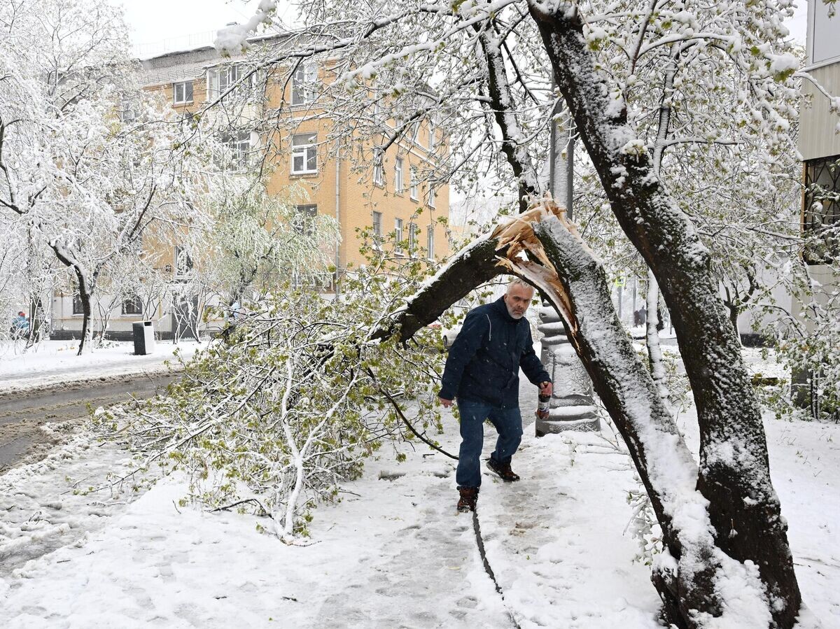    Снег в Москве | © РИА Новости / Михаил Воскресенский