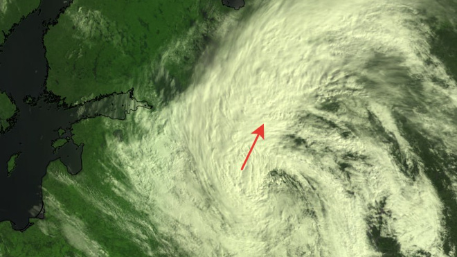 Синоптики прогнозируют потепление в Петербурге и Ленобласти с 1 мая