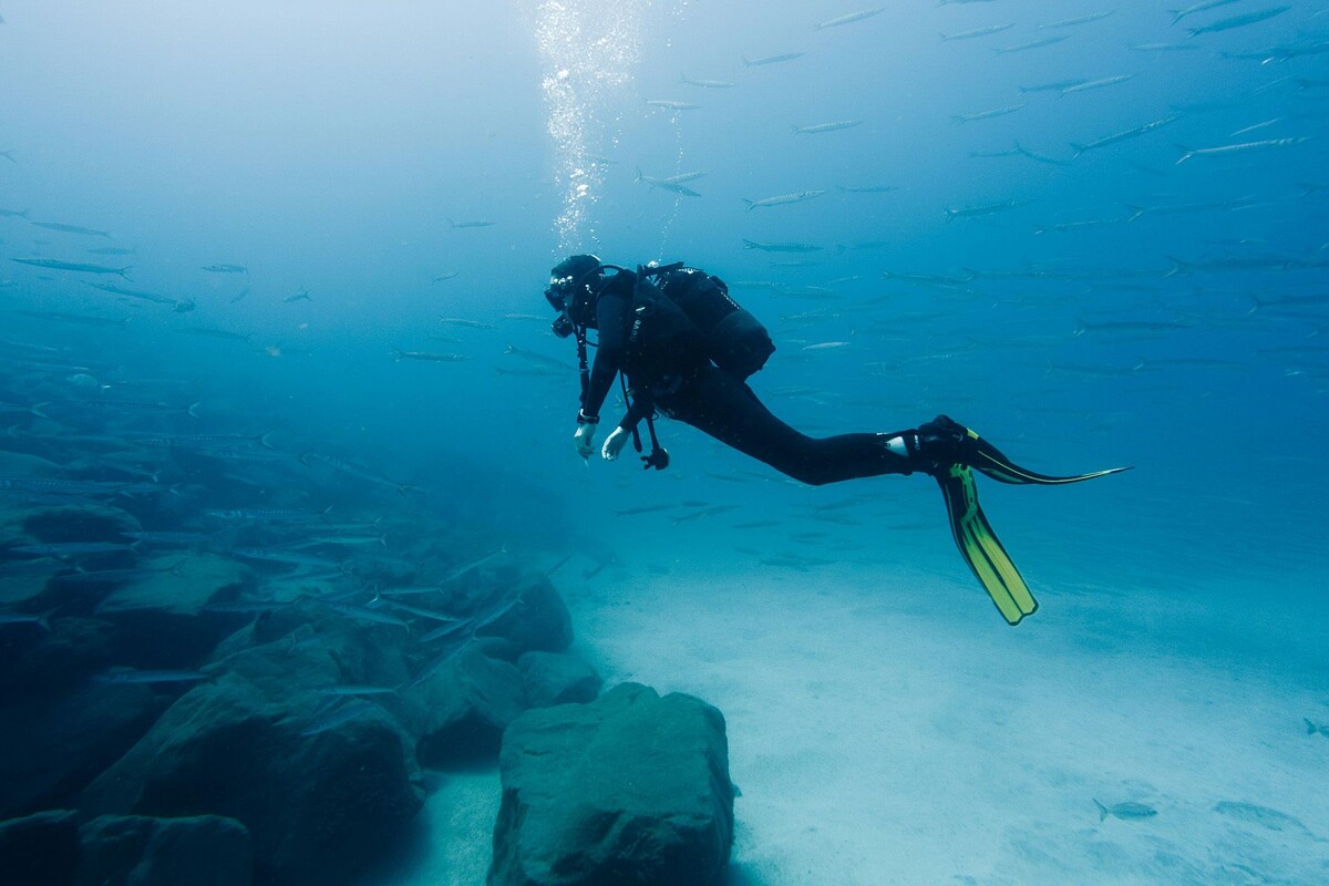  Дайвер. Иллюстративный снимок. Фото: Janesca, Unsplash.com