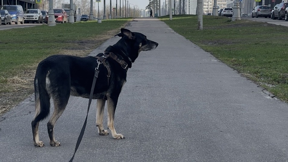 И после этого места я прям сам нашел ответ на один мой вопрос 😎!