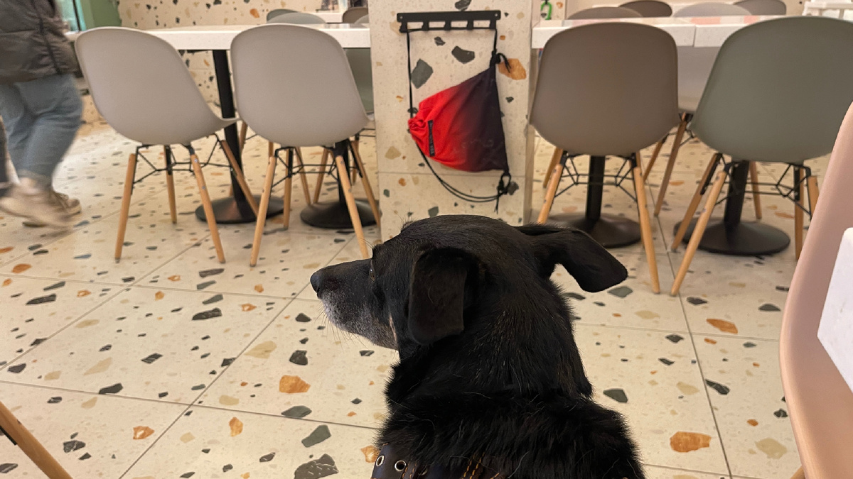 Как раз в этой кофейне смотрю на человеков с этими странными стаканчиками