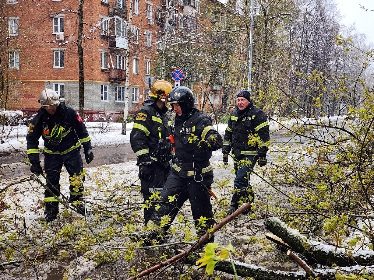    Фото: корреспондент ГАУ МО АИС «Подмосковье» Татьяна Филимонова
