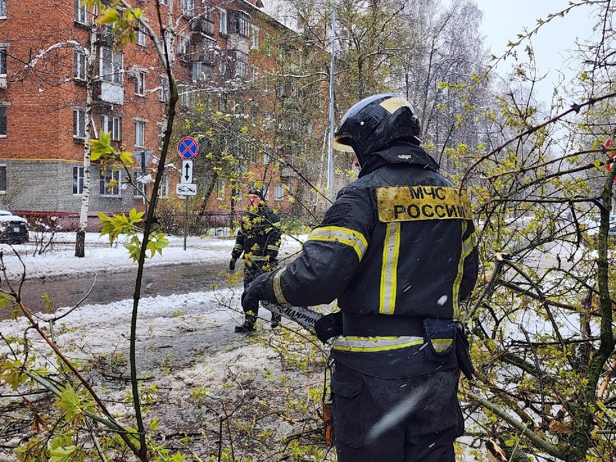    Фото: корреспондент ГАУ МО АИС «Подмосковье» Татьяна Филимонова