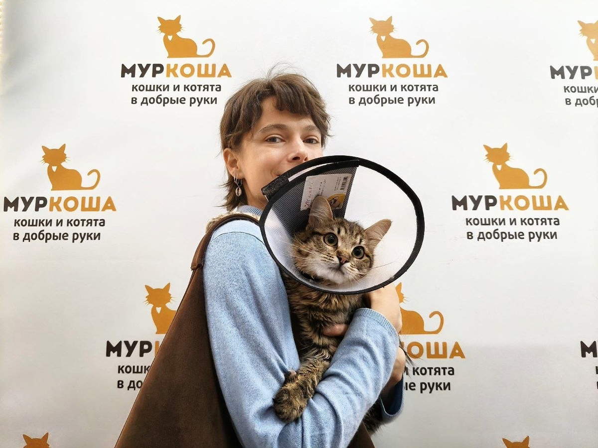 Добрая хозяйка пришла за Банджо. 