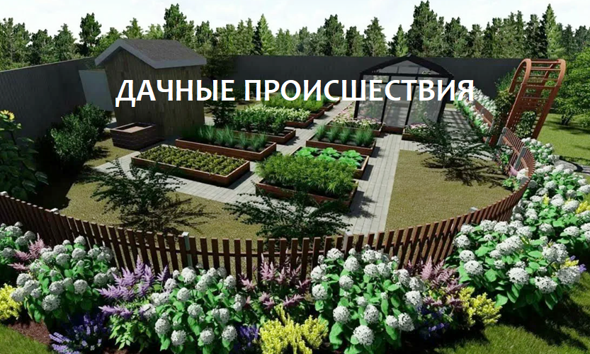 Дачные происшествия