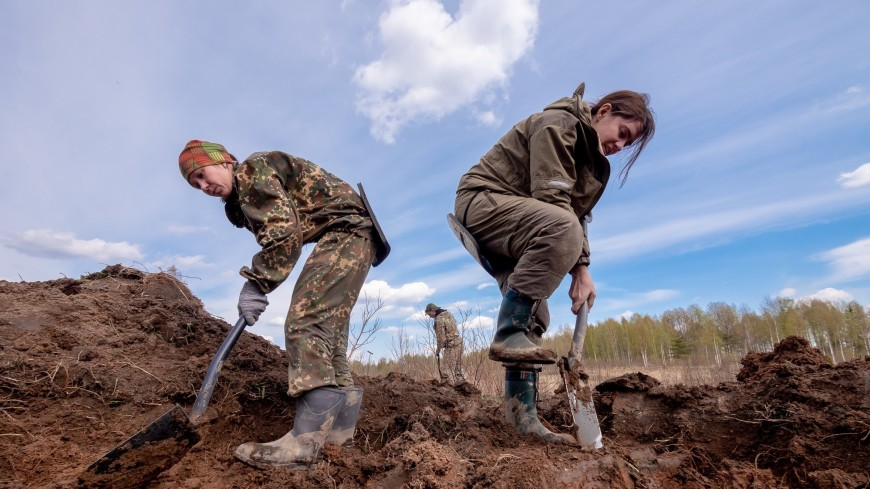 Кто занимается поиском останков солдат Великой Отечественной войны