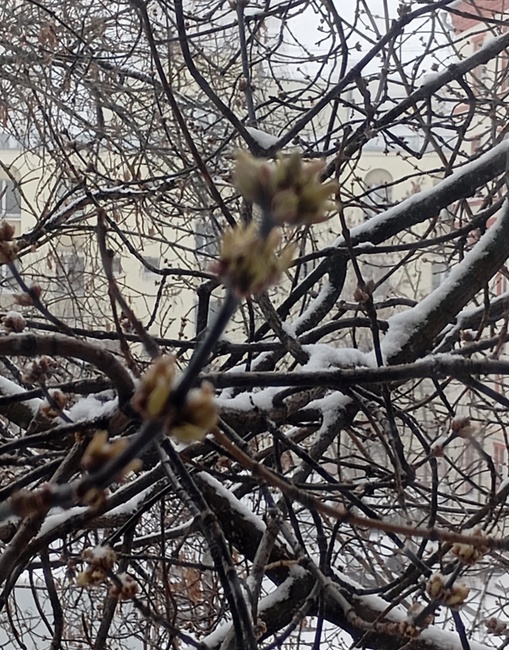 Фотография автора