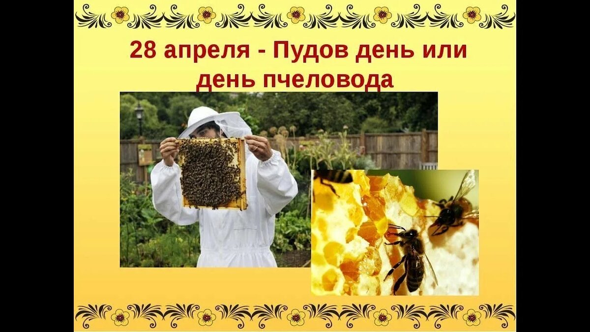 свобод.источник