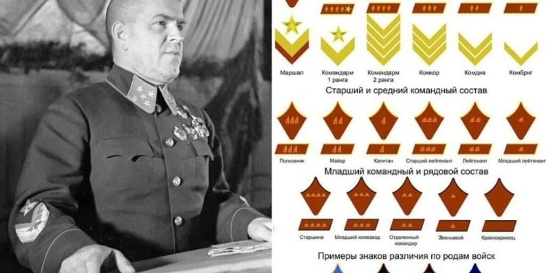 Когда армия стала профессиональной: поворотный момент 1935 года