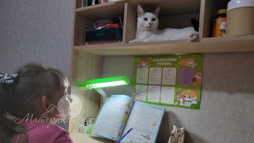    Фото: "Материнство.ру", из архива