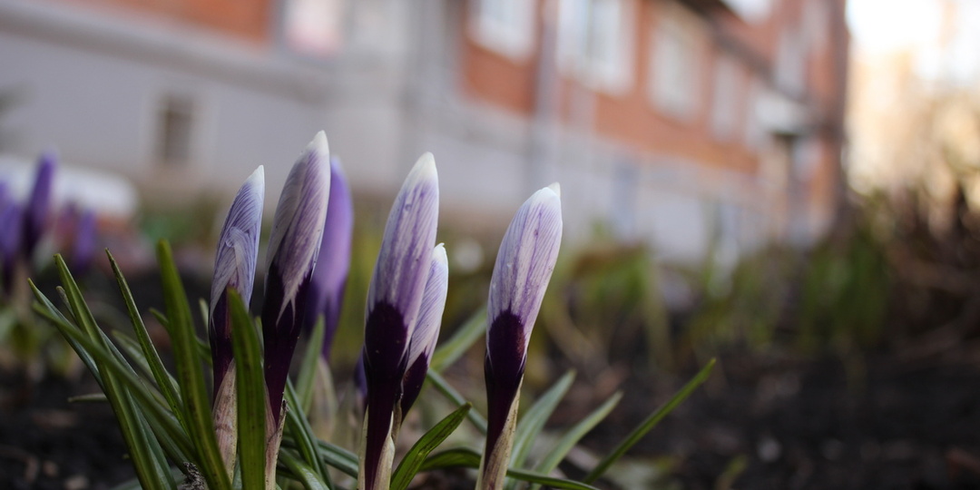 Погода в Ижевске на день: 28 апреля ждем +9°С и усиление ветра
