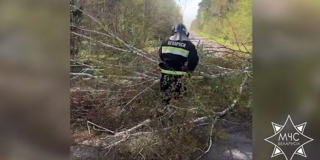 В Беларуси спасатели ликвидируют последствия непогоды