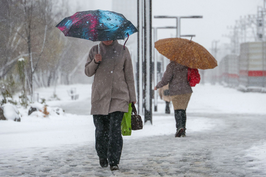    Алексей Белкин/NEWS.ru