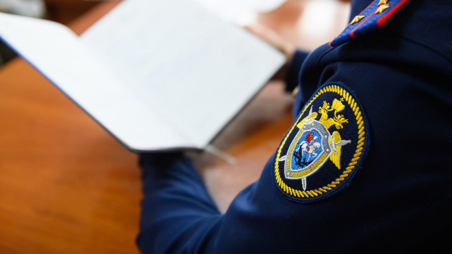 СК возбудил уголовное дело после сообщений о потасовке в школе в Мурино