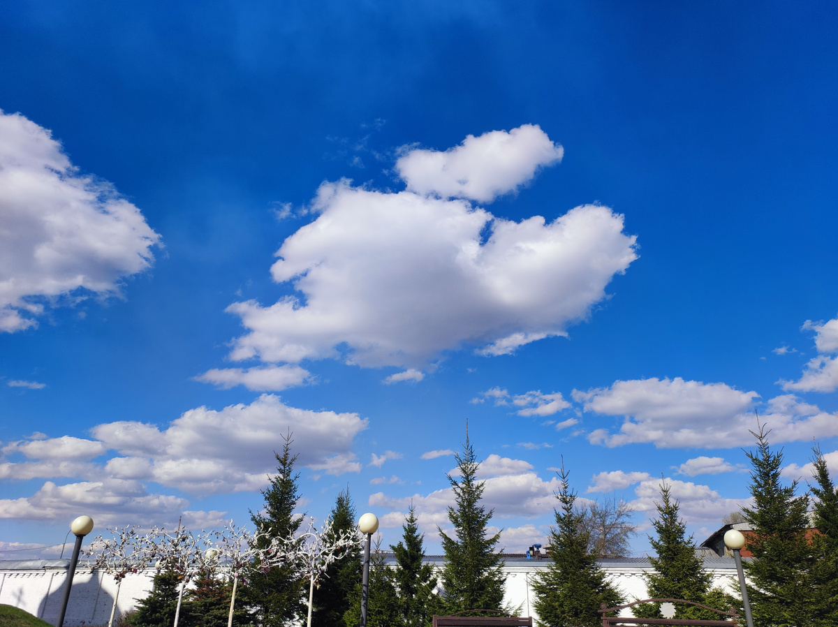 Сегодня снова солнечное утро! Фото автора 