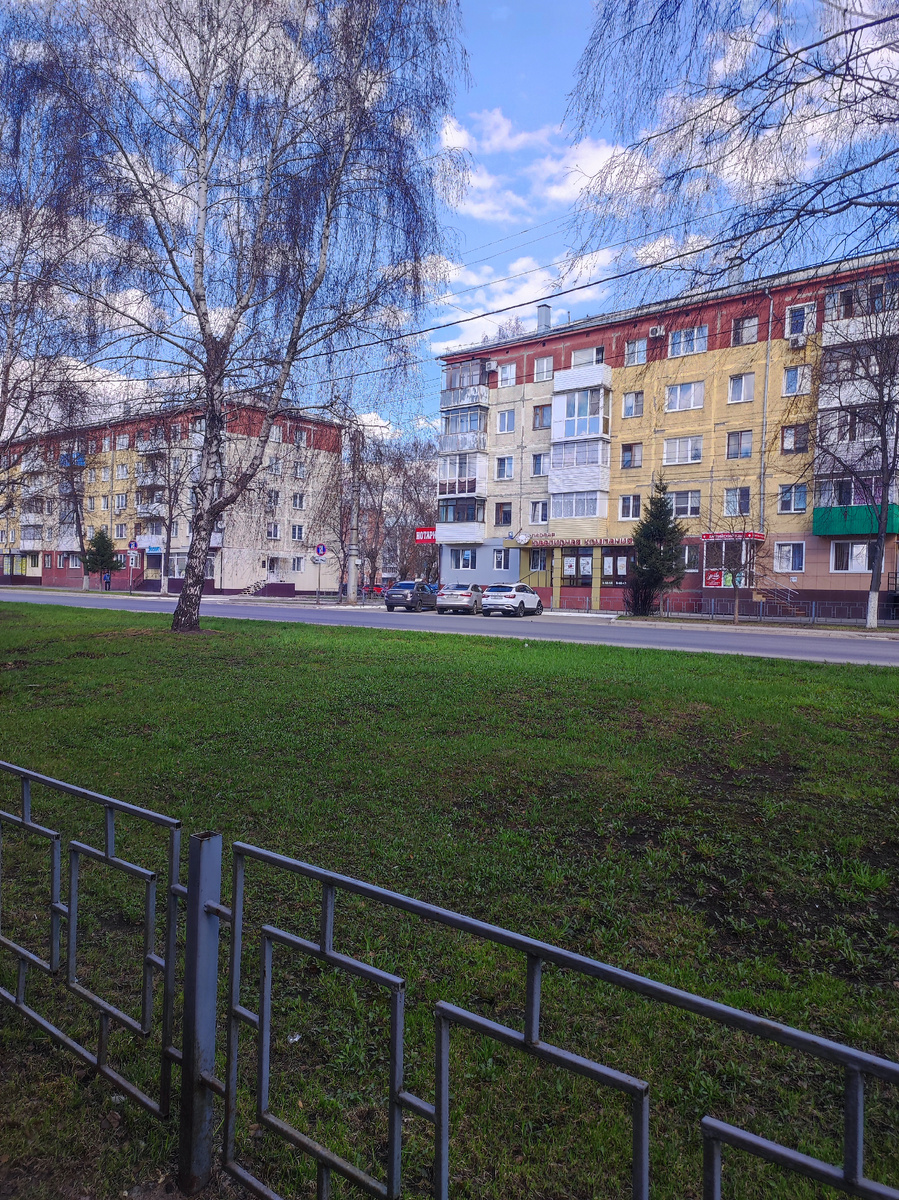 Трава, мне кажется, растёт не по дням, а по часам. Фото автора 