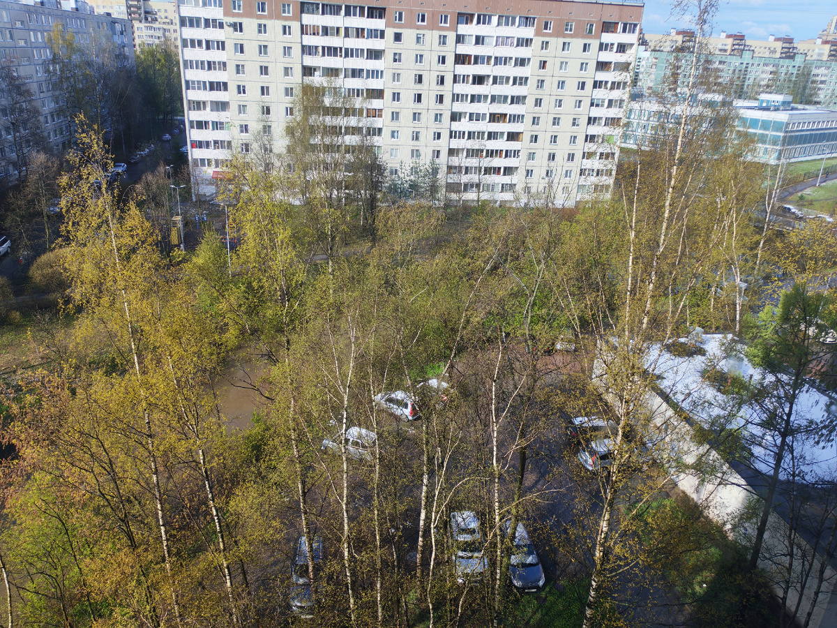 Фото автора