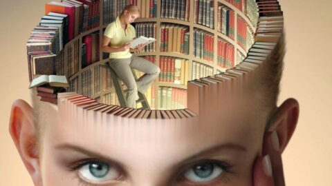 Вы забываете не потому что плохая память. Вот настоящая причина