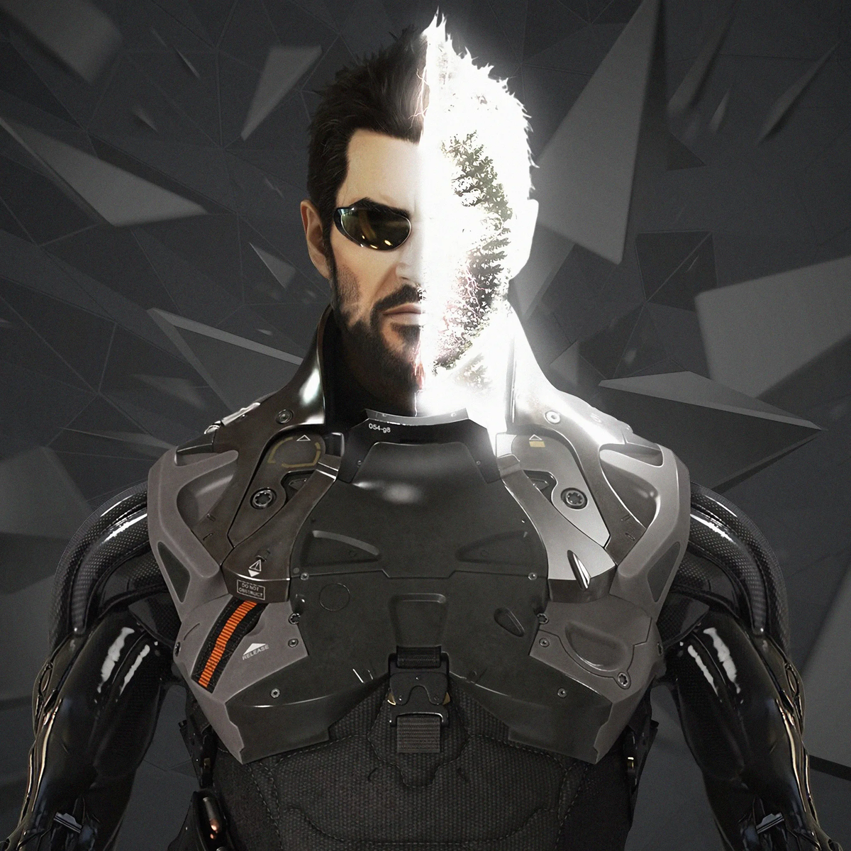 белый скин deus ex - 2048x2048 Deus Ex Mankind Video Game 4k Ipad Air ,HD 4k 