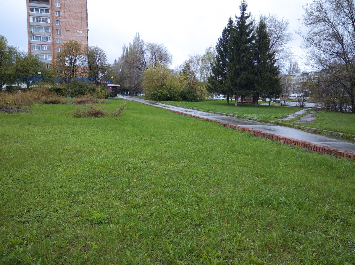 Природа насыщается энергией и силой