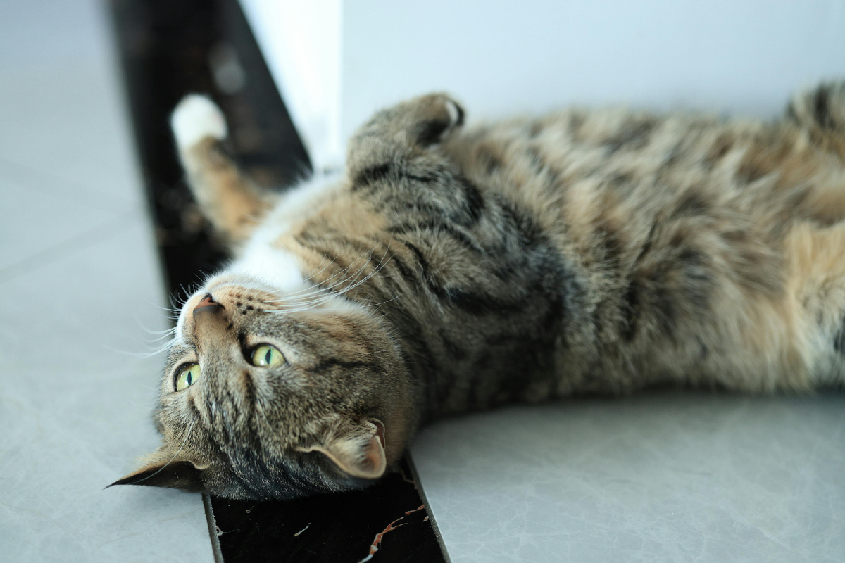-2