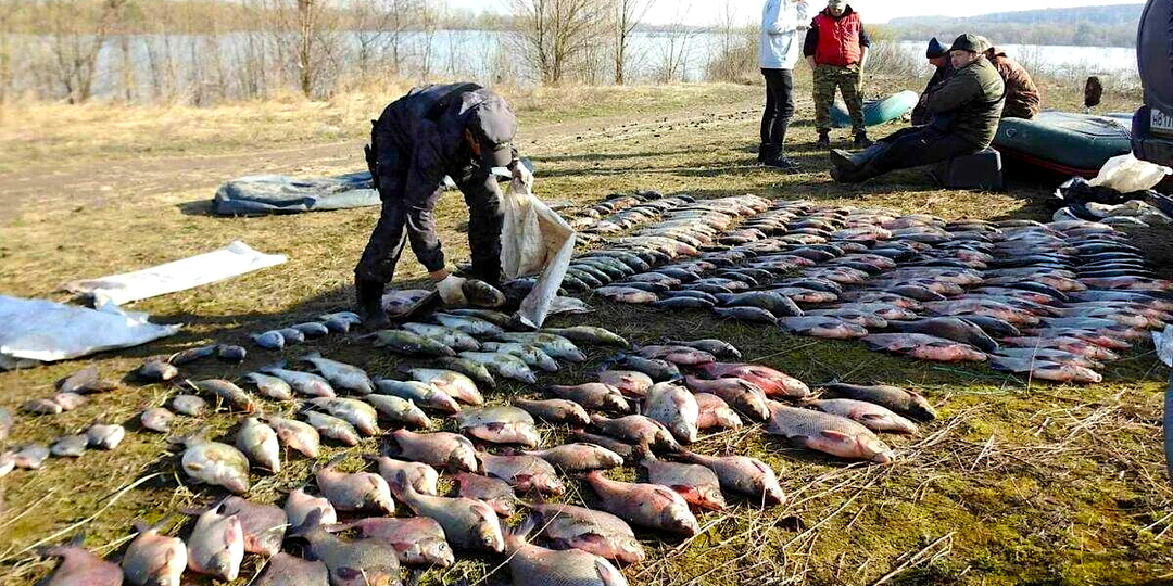 Когда в России не будет РЫБНЫХ БРАКОНЬЕРОВ? Отвечает ИИ