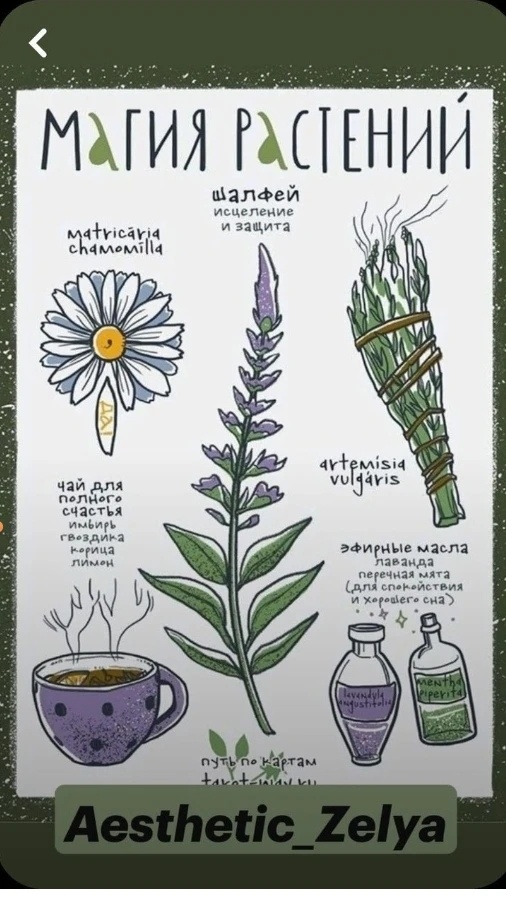 Ну и держите ещё идейку для вашего травника🍀конечно если он есть👍🏻