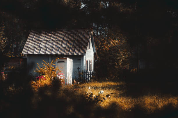 фото с сайта istockphoto.com, автор: skyNext