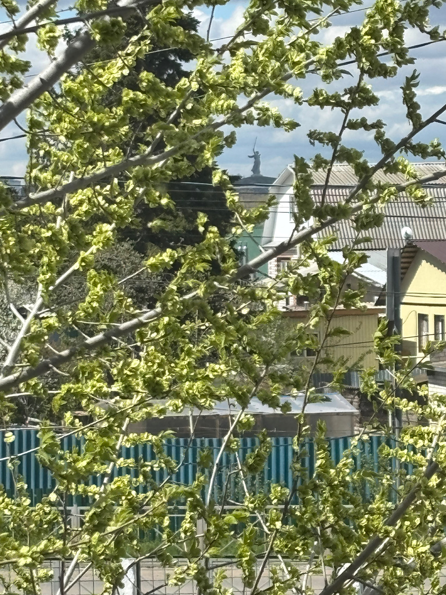 На работе из окна видно Родину мать мать. Вот так близко мы живём от центра Волгограда.