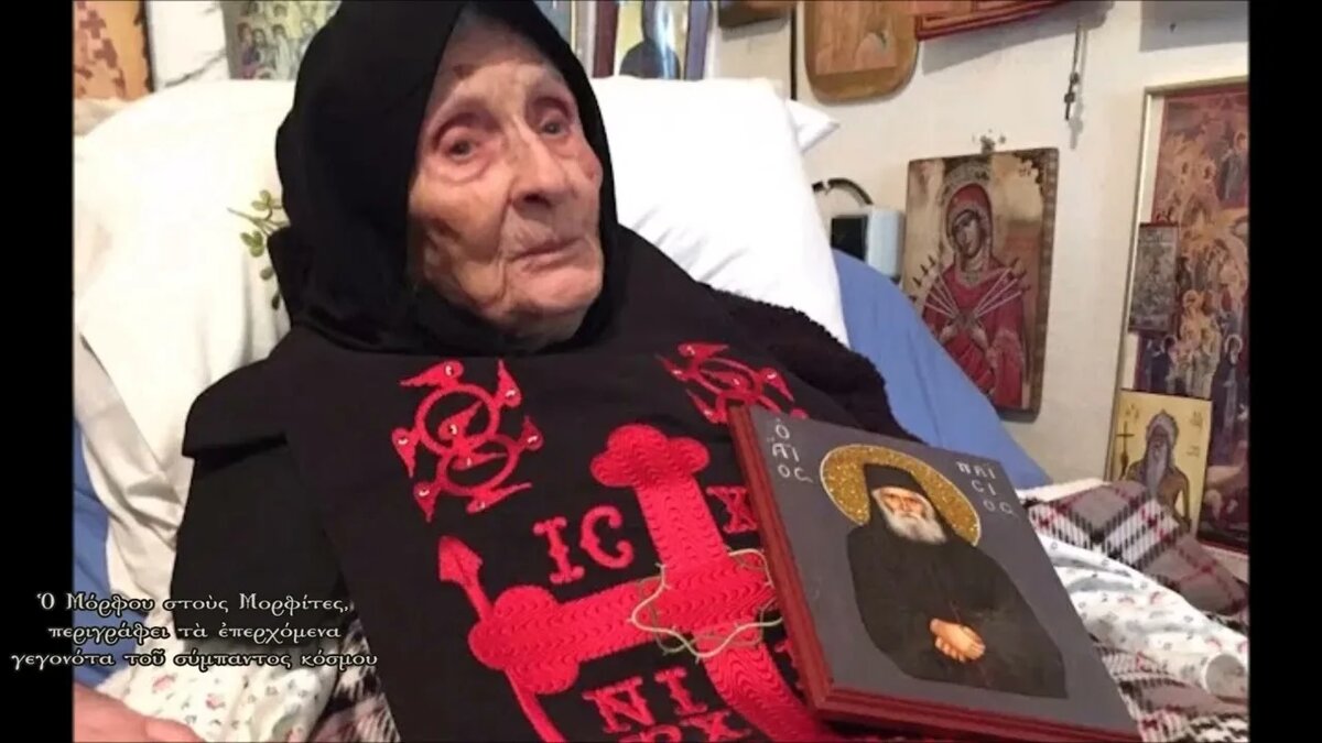 Геронтисса Галактия. Изображение: YouTube