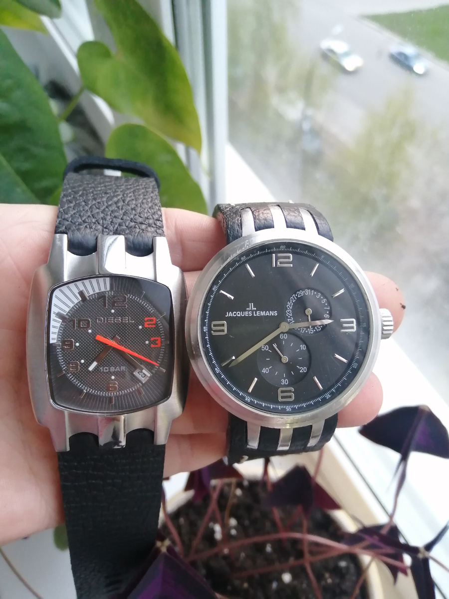 Фотографии автора 